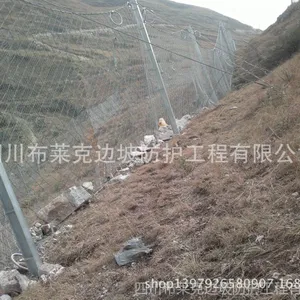 供应厂家直供 防护网 被动防护网 RX-025