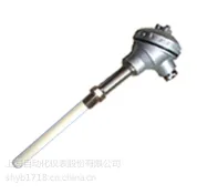 WZP系列装配式薄膜铂热电阻WZP-1212U