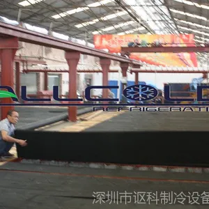 块冰机/大型制冰工厂/条冰机/冰砖机/讴科大量供应