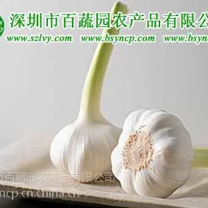 供应深圳送菜公司供应深圳送菜公司商机农业