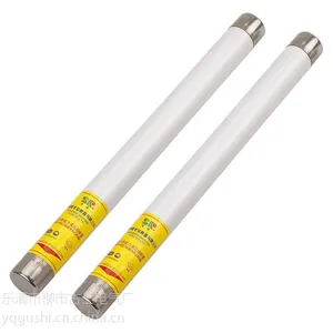��Ӧ��ѹ�߷ֶ����������۶���XRNP1-10KV/1A 50KA