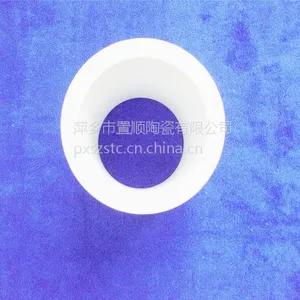 置顺陶瓷供应氧化铝陶瓷填料 拉西环散堆填料 氧化铝陶瓷拉西环 散堆填料拉西环
