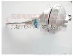 WZPB系列 PT100温度传感器 一体化温度探头 铠装温度传感器
