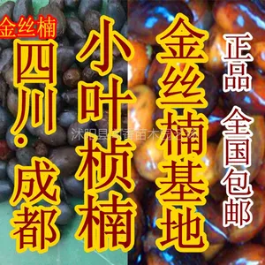 ��Ӧ��˿�ľ���� �����Ĵ����� ��ͥ԰��������ֲҶϸ��СҶ��骻���ֱ�� ��һ��ʮ