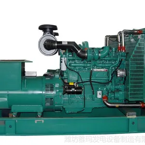 ��Ӧ����˹������� ������� 250KW ���ͷ������ ȫͭ��ˢ ����ֱ��