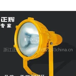 供应防爆投光灯