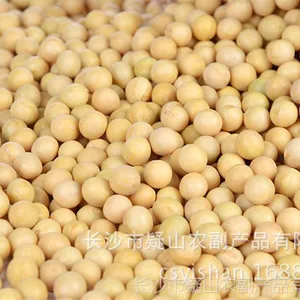 厂地直销东北黄豆 大豆批发 包物流费用 量大从优 ***大豆 豆浆专用