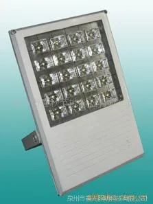 供应福建户外灯具厂家直销 户外照明40W 大功率LED投射灯