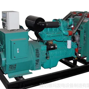 ��Ӧ����˹������� ������� 250KW ���ͷ������ ȫͭ��ˢ ����ֱ��