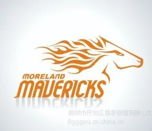 聊城市开发区久汇钢管有限公司