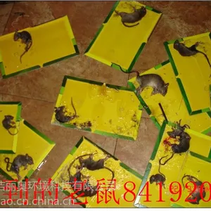 ��Ӧ�Ͼ�������˾���Ͼ�ɱ��˾