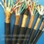 供应专业厂家直销 ZR-KVV22 2*1 ZR-KVV22 2*1 厂家