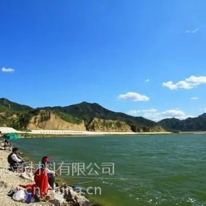 水产养殖专用强效诱食剂 高效诱食剂
