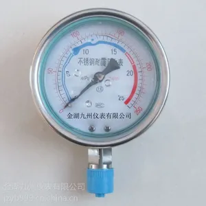 供应不锈钢耐震压力表 YNBF OMVGAR