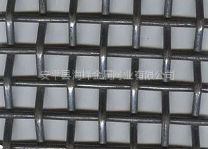 供应8号黑钢丝网,8号镀锌钢丝网
