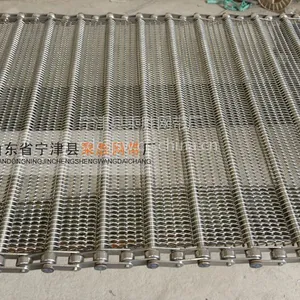SUS201/SUS304链条式不锈钢输送网带