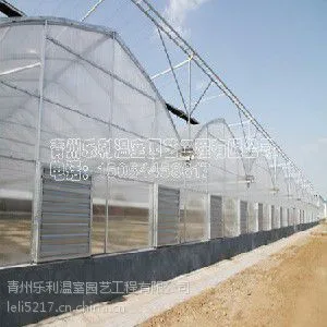 高温连栋大棚(建造)高温连栋大棚造价-青州乐利温室