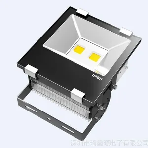 供应新款led投光灯100w 鳍片led泛光灯 led户外广告灯 新款鳍片LED灯