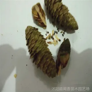 ��ɼ���� ��ɼ�������� ���ּ���  �����̻���ľ���ӹ�Ӧ��