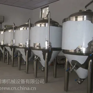 200升啤酒生产设备厂家