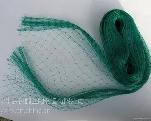 供应防鸟网