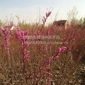 ��Ӧ�Ͼ���60-150���ָ� ������ �Ͼ����� ���Ͼ� �Ͼ� �۸�