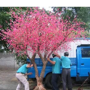 供应***仿真桃花树批发零售-深圳江南园艺
