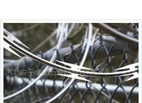 供应安平金盛丝网有限公司专业生产刀片刺网厂家13722809097