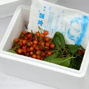 供应泡沫保温箱冷藏泡沫盒 冷链运输箱 便当保温 绿色农产品水果保鲜箱
