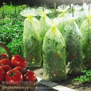 供应出口黄色打孔西红柿桶膜