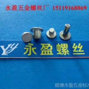 中山市东凤镇附近螺丝厂-平头铝铆钉-半空心铆钉-全空心铆钉-不锈钢铆钉