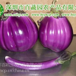 供应深圳送菜龙岗送菜公司坪山送菜中心坑梓送菜服务