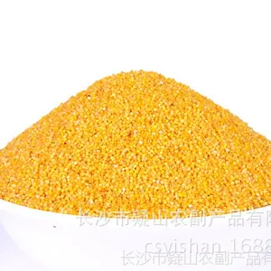 供应产地直销五谷杂粮小米 优质杂粮小米 黄小米批发 小米***强身