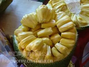 海南木菠萝,菠萝蜜新鲜水果,大树木菠萝蜜,鲜果