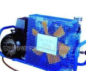 供应消防充气泵 空气呼吸器充气泵(意大利品牌 0515-85755448)