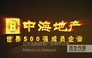 辽宁沈阳制作房地产高清宣传片13840021099