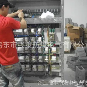 BMDG58防爆配电箱,防爆照明动力配电箱,惟丰防爆定做配电箱