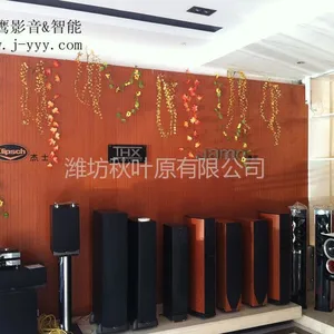 供应--- 淄博家庭影院声学设计、背景音乐、智能家居、精鹰影音&智能