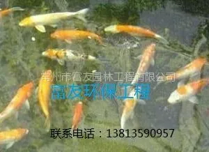 常州富友净化工程有限公司