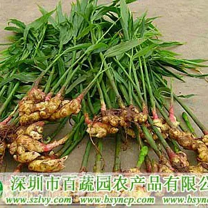 供应观澜深圳蔬菜配送公司 龙岗品批发 肉菜配送
