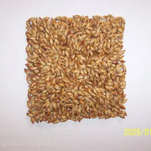 �ɿ�����ѿ ơ��ԭ�� ơ������ ơ�����Ӽ�