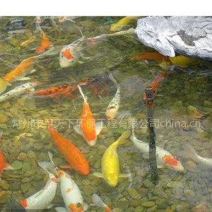 �ൺ�о���ˮרҵ������˾