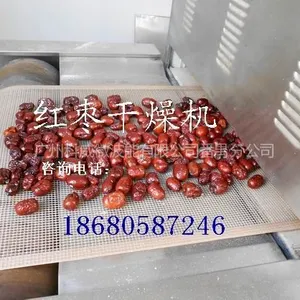 供应广州科威红枣微波烘干杀菌机