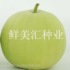 芋头冬瓜种子——香玉