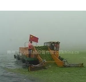 供应全自动海藻收集船