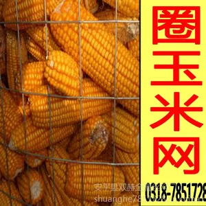 ��ӦȦ������������Ȧ������������Ȧ���׵纸��