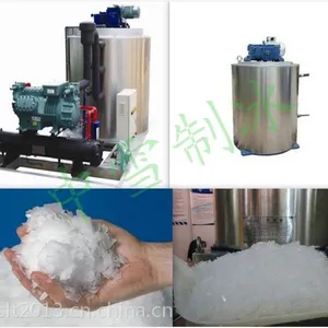 供应中雪0.5吨片冰机/0.5吨片冰机价格