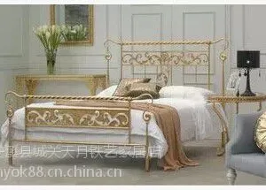 双人床 单人床 欧式床 田园床1800*2000mm铁艺/钢木床抛光2人