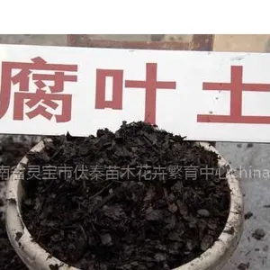 供应橡树腐叶土5000吨