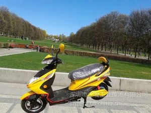 供应讯鹰展翅改进型电动车
